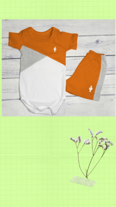 conjunto de body combinado