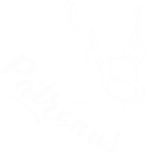 Productos Patronus