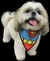 BANDANA PREMIUM BANDAS DE ROCK C/20 na internet