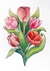 Imagem do Cartões Postais - Flores