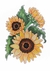 Cartões Postais - Flores - Lalana Well