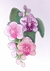 Cartões Postais - Flores - comprar online
