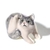 Gato se rasca - comprar online