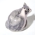 Gato se rasca en internet