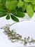 Collar Buxus en internet