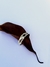 Anillo Goteo - Fauno