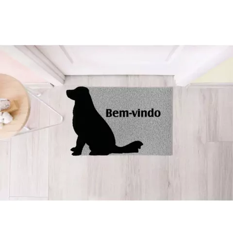 CAPACHO VINIL PET SILHUETA 40CMX60CM KAPAZI