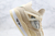 Nike Air Jordan 4 Retro x Off White 'Cream Sail' na internet