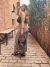 Saia Longa Em Crepe Com Estampa Animal Print - comprar online