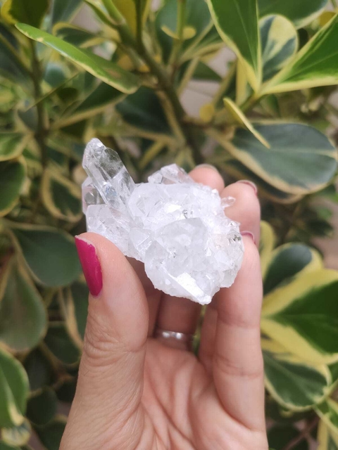 Drusinhas de Cristal P - Amplificador, Purificador e Iluminador