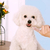 Escova de Dentes de Silicone para Pets - MINEIROTECH