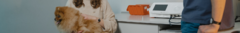 Banner da categoria Carrinhos para equipamentos veterinários