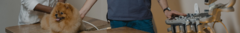 Banner da categoria Carrinhos para aparelhos e equipamentos veterinários