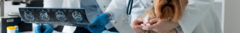 Banner da categoria Móveis Veterinários