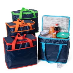 Bolsa Térmica 36 Litros 420D Bt032 - comprar online