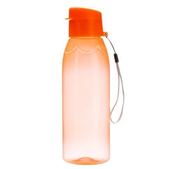 Squeeze Plástica 700ml Cod010