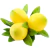 Sicilian Lemon Napkin Holder - Triple