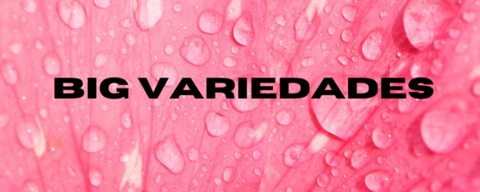 BIG VARIEDADES