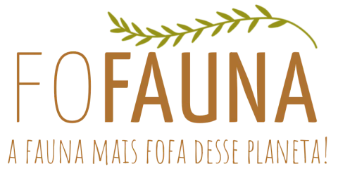 Fofauna
