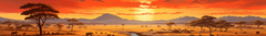 Banner da categoria Animal