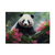 Fotogenia Panda