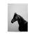 Poster A3 - Cavalo#40