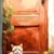 Poster A3 - Gato #5 - comprar online