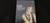 DVD BARBARA STRAISAND THE CONCERT