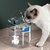 Imagem do Pet Bebedouro