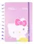 CADERNO INTELIGENTE HELLO KITTY na internet