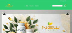 Criação Profissional de Sites e Lojas on internet