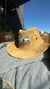 SOMBRERO en internet