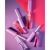 Lip Oil Candy Lips - Mia Make