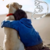Imagem do Anel Love Dog