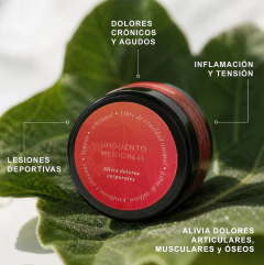 Ungüento medicinal para golpes y dolores - comprar online