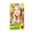 NUTRISSE Kit de coloracion permanente tono 90 Trigo