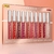 10Pcs/Set Matte Liquid Lip Gloss Lipstick Long Lasting Non-stick Cup Make-up na internet