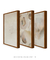 Composição 3 Quadros Decorativos: Liberdade + Ecos de Brisa + Sussurros de Luz - comprar online