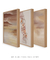 Composição com 3 Quadros Decorativos: Bossa Nova + Entardecer + Pétalas Dançante