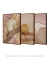 Composição com 3 Quadros Decorativos "Ritmos da Natureza" - comprar online