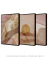 Composição com 3 Quadros Decorativos "Ritmos da Natureza" na internet