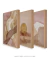 Imagem do Composição com 3 Quadros Decorativos "Ritmos da Natureza"
