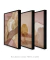 Composição com 3 Quadros Decorativos "Ritmos da Natureza" - loja online