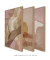 Composição com 3 Quadros Decorativos "Ritmos da Natureza" - loja online