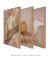 Composição com 3 Quadros Decorativos "Ritmos da Natureza"