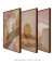 Composição com 3 Quadros Decorativos "Ritmos da Natureza" - comprar online