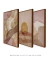 Composição com 3 Quadros Decorativos "Ritmos da Natureza" na internet