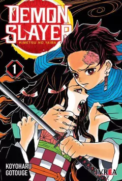 DEMON SLAYER: KIMETSU NO YAIBA #01