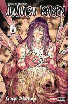 JUJUTSU KAISEN #06