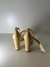Salto Birman Nude na internet